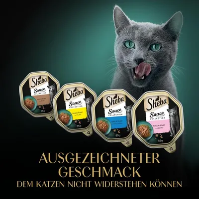 Sheba Sauce Collection, 85g. Sorten: Sauce Lover mit Ente, Thunfisch, Lachs. Ausgezeichneter Geschmack, dem Katzen nicht widerstehen können.