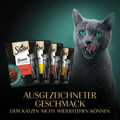 Sheba Sauce Collection, 85g Pouches in verschiedenen Geschmacksrichtungen. Text: Ausgezeichneter Geschmack, dem Katzen nicht widerstehen können.