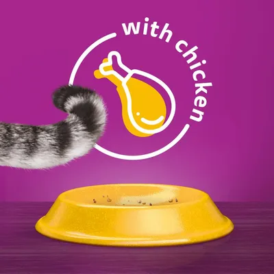 Yellow food bowl with a few crumbs, striped tail in foreground, and text 'with chicken' beside a chicken drumstick icon on purple background.