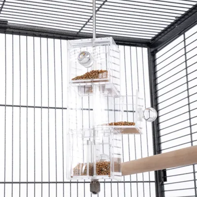 Distributeur transparent à plusieurs compartiments remplis de graines, suspendu dans une cage à oiseaux en métal avec perchoir en bois visible.