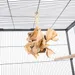 TIAKI Jouet pour oiseaux Boîte à pizza