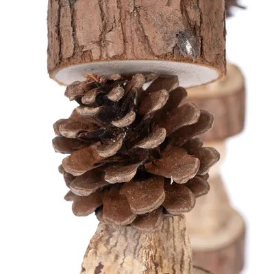Gros plan sur une pomme de pin naturelle fixée entre deux rondins de bois, matériaux visibles : bois et pomme de pin.