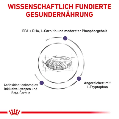 Znanstveno podprta zdrava prehrana: EPA + DHA, L-karnitin, zmeren fosfor. Antioksidantni kompleks z likopenom in beta-karotenom. Obogateno z L-triptofanom.
