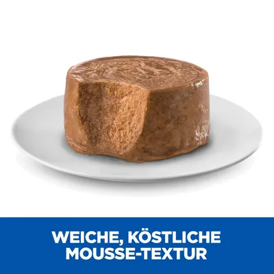 Weiche, köstliche Mousse-Textur auf einem weissen Teller. Beschreibung des Futters mit Fokus auf Konsistenz.