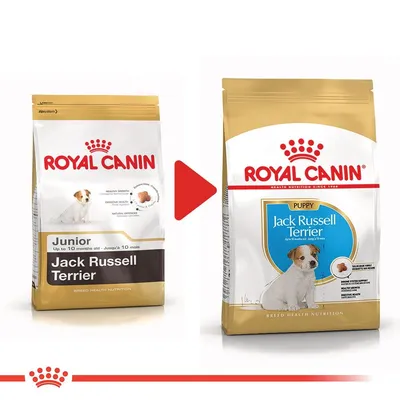 Промяна на опаковката: Royal Canin Junior Jack Russell Terrier (стара) към Royal Canin Puppy Jack Russell Terrier (нова), и двете с изображение на кученце.
