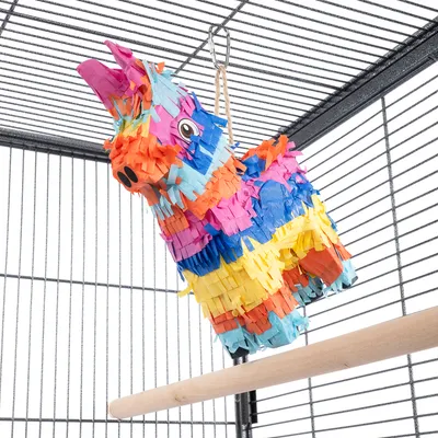 Jouet suspendu en forme de pinata colorée dans une cage à barreaux métalliques, perchoir en bois visible au premier plan.