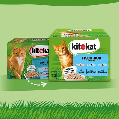 Kitekat Fisch-Box in Gelee, 12x100g. Enthält 6x Lachs, 3x Weissfisch, 3x Kabeljau. Natural Vitality, 100% Complete.