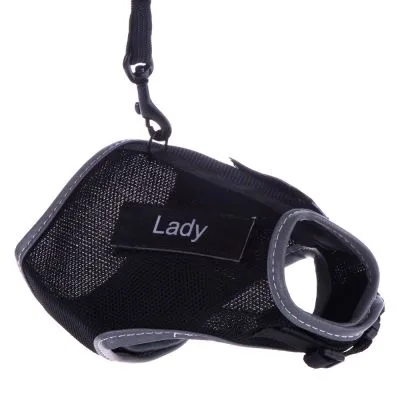 Pettorina nera in tessuto con bordi grigi e scritta visibile 'Lady', agganciata a un guinzaglio tramite moschettone.