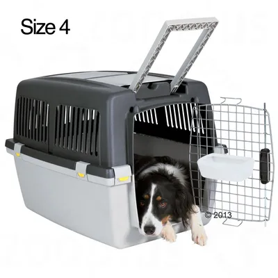Dog carrier, size 4, with open metal door and water bowl attached. Black and grey plastic body. Dog lying inside the carrier. Text: Size 4.