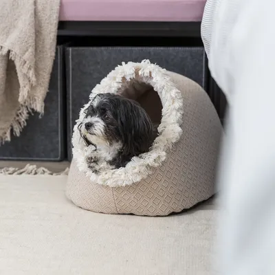 Kleiner Hund liegt in einem beige-gemusterten, höhlenförmigen Haustierbett mit flauschigem Rand.