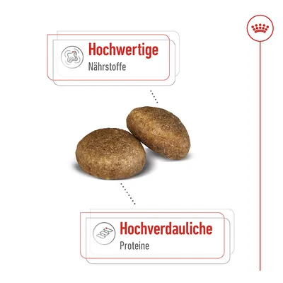Zwei Kroketten mit Beschriftung: Hochwertige Nährstoffe und Hochverdauliche Proteine.