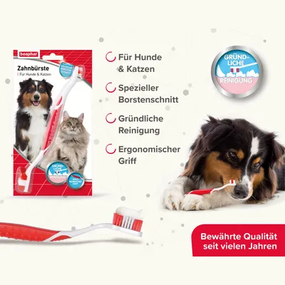 beaphar Zahnbürste für Hunde