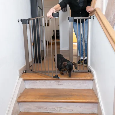 Metalltrappgrind, öppen, med hund och person. Skydd för husdjur mot fall i trappor.