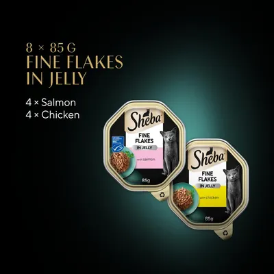 8 packs of 85g fine flakes in jelly, 4 with salmon and 4 with chicken. Image shows two trays labelled 'fine flakes in jelly' with salmon and chicken varieties.
