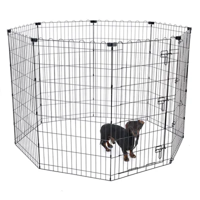 Parc octogonal en métal noir avec un petit chien à l’intérieur, porte visible sur le côté droit. Convient pour visualiser la taille et la structure du parc pour animaux.