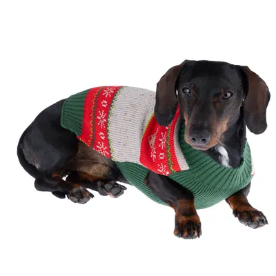 Hund trägt gestrickten Pullover mit rot-grünem Weihnachtsmuster und Schneeflocken-Design.
