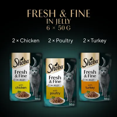 Sheba Fresh & Fine in Jelly, 6 x 50g pouches: 2 with chicken, 2 with poultry, 2 with turkey. Product packaging shown for each flavour.
