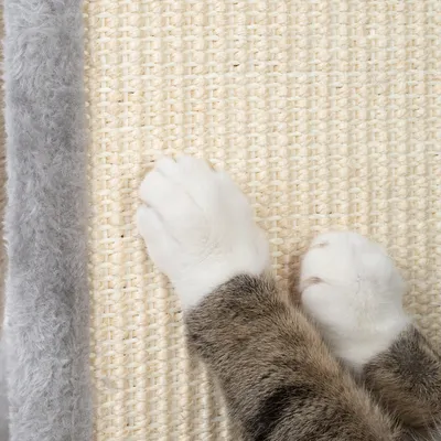 Nahaufnahme von Katzenpfoten auf einer Kratzmatte aus Sisal mit grauem Plüschrand.