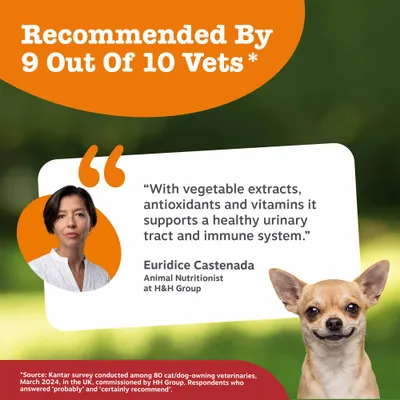 Zesty Paws Cranberry Urinary Care Chews Urinary Health - Turkey - 90 Chews Zesty Paws Cranberry Urinary Care Chews Urinary Health - Turkey - 90 Chews