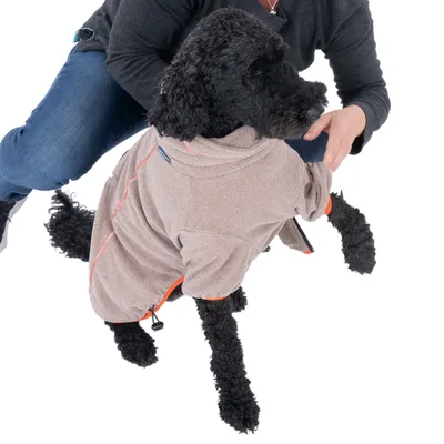 Chien à poil bouclé portant un manteau beige avec bordures orange, accompagné d'une personne en jean et pull foncé. Le tissu du manteau semble être en polaire.