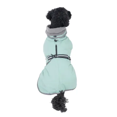 Chien noir vu de dos portant un manteau vert clair avec col gris et sangle réfléchissante, fermeture éclair visible sur le dos.