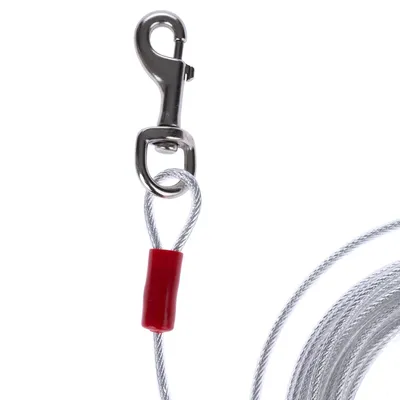 Câble métallique avec mousqueton en métal et gaine rouge visible, extrémité de la longe enroulée à droite. Aucun texte ou marque visible.