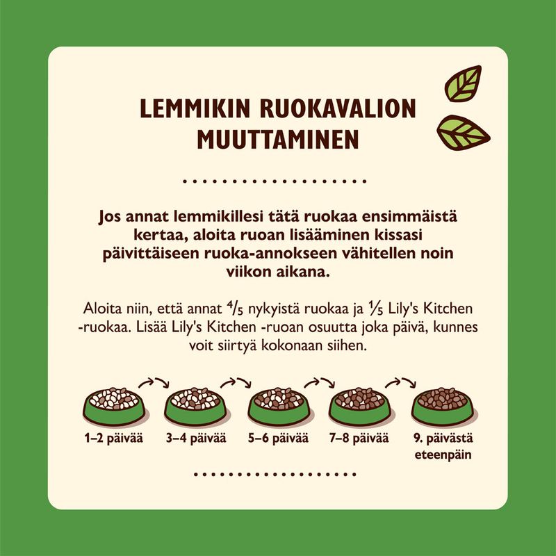 Lily's Kitchen Smooth Paté Selection -säästöpakkaus kissoille 38 x 85 g