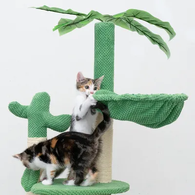 Krabpaal met groene stoffen bekleding, palmboomdesign en twee spelende katten. Bevat platforms en sisalpalen.