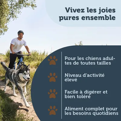 Vivez les joies pures ensemble. Pour les chiens adultes de toutes tailles, niveau d’activité élevé, facile à digérer et bien toléré, aliment complet pour les besoins quotidiens.