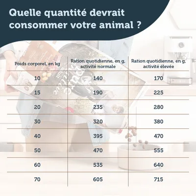 Tableau des rations quotidiennes selon le poids corporel du chien : de 10 kg (140 g normale, 170 g élevée) à 70 kg (605 g normale, 715 g élevée).
