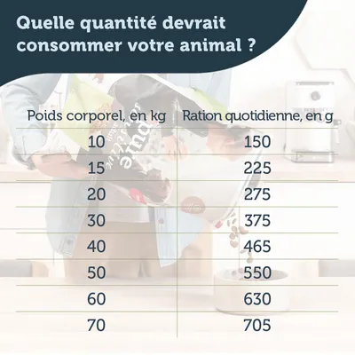 Tableau des rations quotidiennes : poids corporel 10 kg 150 g, 15 kg 225 g, 20 kg 275 g, 30 kg 375 g, 40 kg 465 g, 50 kg 550 g, 60 kg 630 g, 70 kg 705 g.