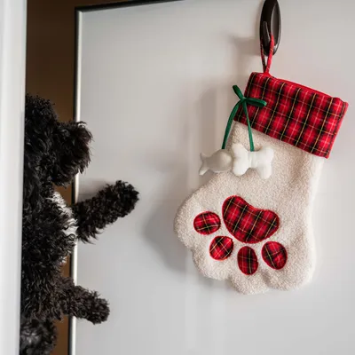 Weihnachtssocke in Pfotenform mit rotem Karomuster und Knochenanhänger, aufgehängt an einem Haken. Schwarzer Hund im Hintergrund sichtbar.