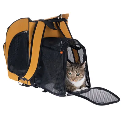 Sac de transport jaune et noir en tissu avec panneaux en maille, porte avant ouverte, chat tigré à l’intérieur. Poignées visibles sur le dessus du sac.