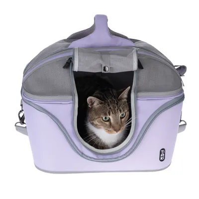 Sac de transport Tiaki en tissu violet et gris, ouverture frontale avec filet, chat tigré à l’intérieur visible par l’ouverture. Poignée et bandoulière visibles.