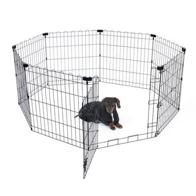 Schwarzes Metallgehege in achteckiger Form mit offener Tür, darin ein kleiner Hund liegend.