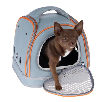Petit chien sortant d’une caisse de transport grise à liserés orange, porte avant en maille ouverte, poignée sur le dessus et aérations latérales visibles.