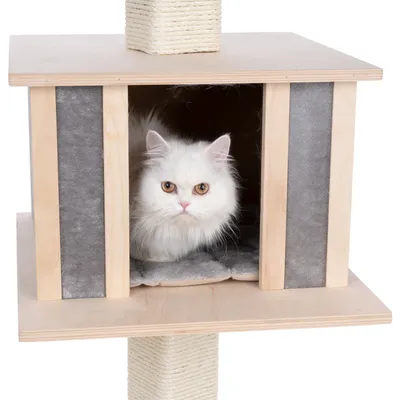 Árbol rascador con casita de madera, fieltro gris y poste de sisal. Gato blanco sentado dentro de la casita.