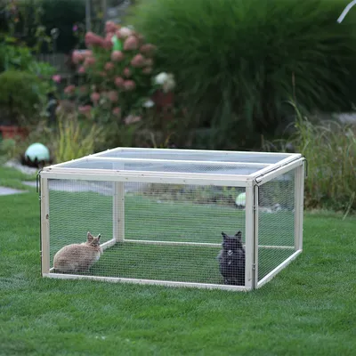 Recinto rectangular de madera y alambre para pequeños animales, con dos conejos dentro, colocado sobre césped verde.