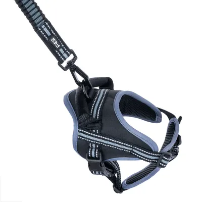 Czarna uprząż dla psa z paskami odblaskowymi i dopasowaną smyczą, wyściełana dla wygody.