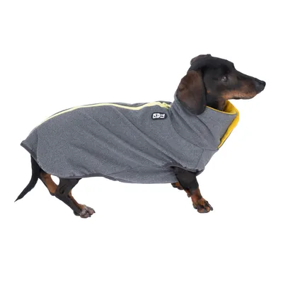 Teckel portant un manteau pour chien gris avec doublure jaune et fermeture éclair, logo SD visible sur le côté du vêtement.