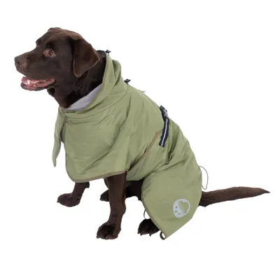 Chien marron portant un manteau imperméable vert clair avec capuche et fermeture à clip, motif patte blanche visible sur le côté arrière du manteau.