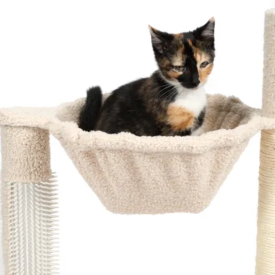 Cat sitting in a beige hammock platform attached to a scratching post, demonstrating use of the product as a resting area.