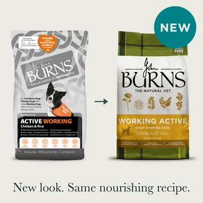 Burns Working Active - Chicken & Rice - Economy Pack: 2 x 12kg