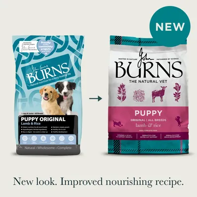 Burns Puppy Original - Lam & Rijst - Dubbelpak: 2 x 6kg