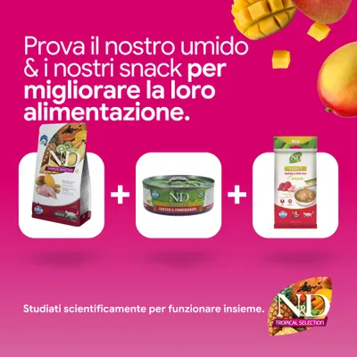 N&D Tropical Selection crocchette, N&D Prime Chicken & Pomegranate alimento umido e N&D adult cream snack. Sviluppato scientificamente per un'alimentazione combinata. N&D Tropical Selection crocchette, N&D Prime Chicken & Pomegranate alimento umido e N&D adult cream snack. Sviluppato scientificamente per un'alimentazione combinata.