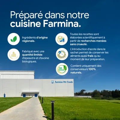 Farmina Pet Foods : ingrédients d'origine régionale, quantité limitée d'épeautre bio et d'avoine, développés scientifiquement sans tests sur les animaux, conservateurs 100 % naturels. Farmina Pet Foods : ingrédients d'origine régionale, quantité limitée d'épeautre bio et d'avoine, développés scientifiquement sans tests sur les animaux, conservateurs 100 % naturels.