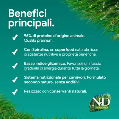 Vantaggi principali: 96% di proteine animali, spirulina come superfood, basso indice glicemico, sistema nutrizionale per carnivori senza additivi, conservanti naturali. Vantaggi principali: 96% di proteine animali, spirulina come superfood, basso indice glicemico, sistema nutrizionale per carnivori senza additivi, conservanti naturali.