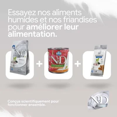 N&D White Coat croquettes, N&D Quinoa nourriture humide et N&D White Coat Dental Treats. Conçus pour améliorer l’alimentation lorsqu’ils sont utilisés ensemble. N&D White Coat croquettes, N&D Quinoa nourriture humide et N&D White Coat Dental Treats. Conçus pour améliorer l’alimentation lorsqu’ils sont utilisés ensemble.