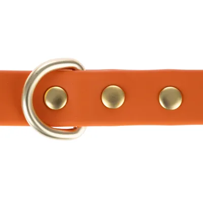 Oranje hondenhalsband met gouden studs en zilverkleurige metalen D-ring.