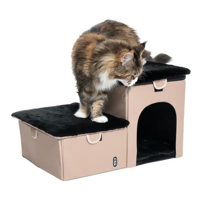 Katzenmöbel mit zwei Ebenen, schwarzem Kissen und Höhle. Katze sitzt auf der oberen Ebene.
